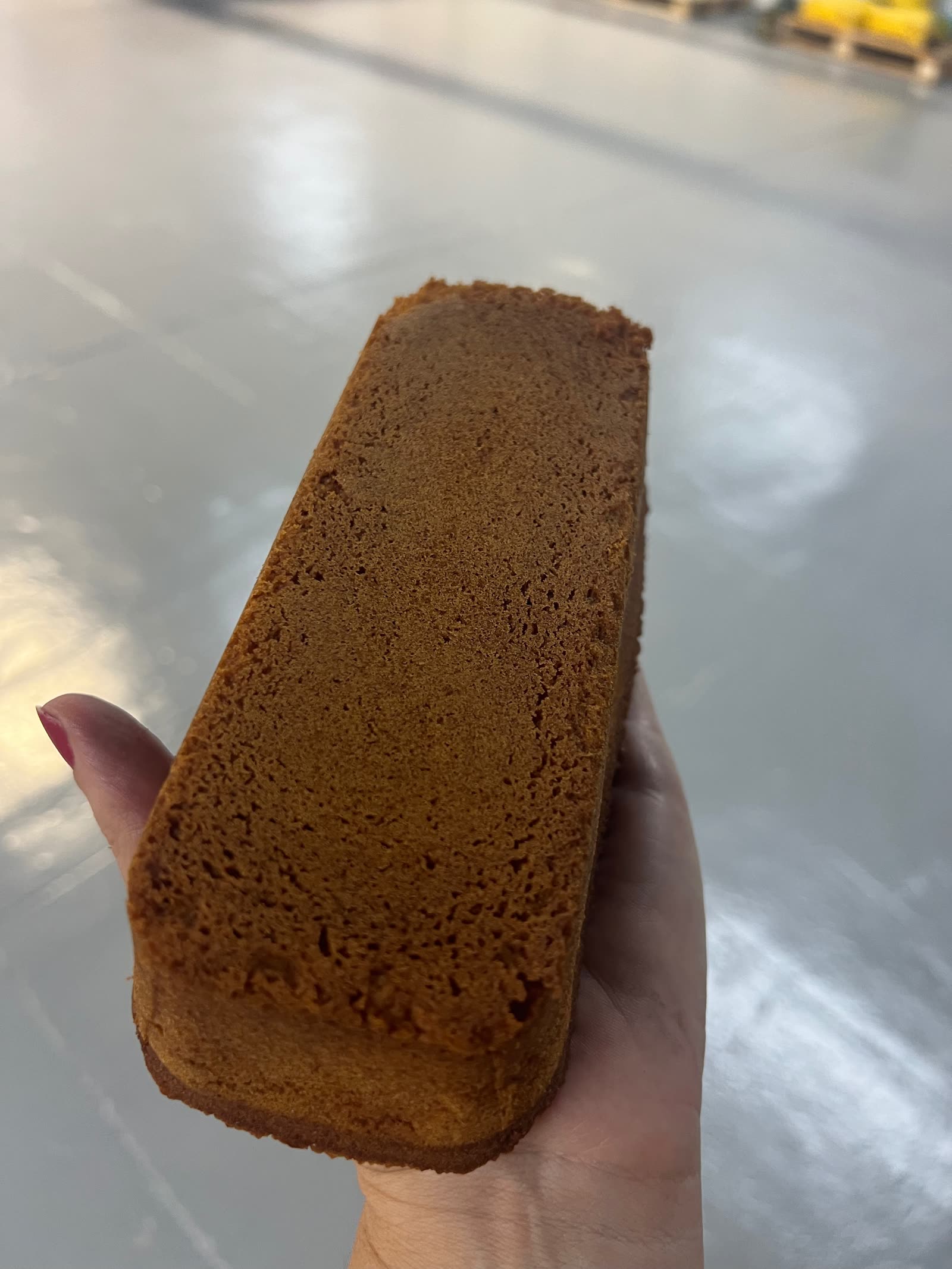 Corte del Protein Bread