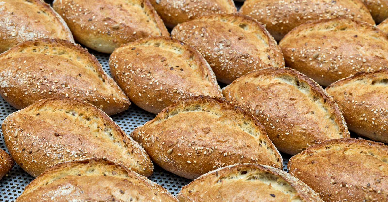 Multiprotein Rolls & Baguettes — panecillos recién horneados